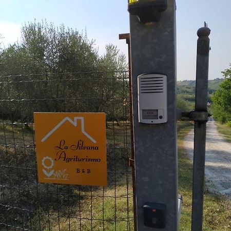 La Silvana B&B Coriano Dış mekan fotoğraf
