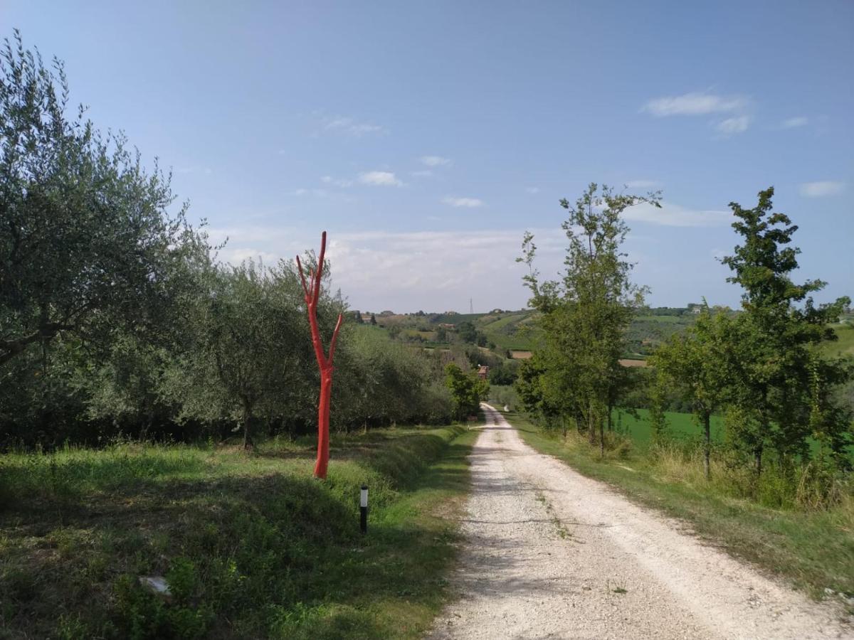 La Silvana B&B Coriano Dış mekan fotoğraf